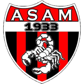 home team badge