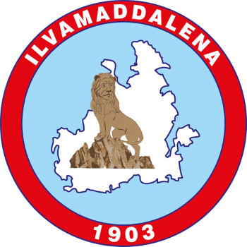 Team Badge