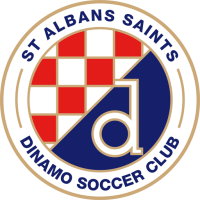 Team Badge