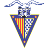 Away Team Badge