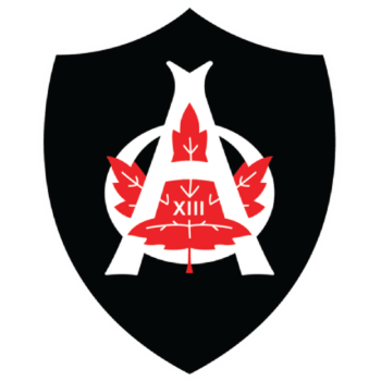 Team Badge