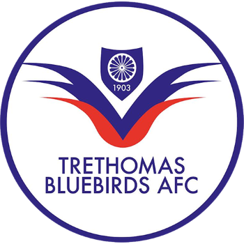 Team Badge