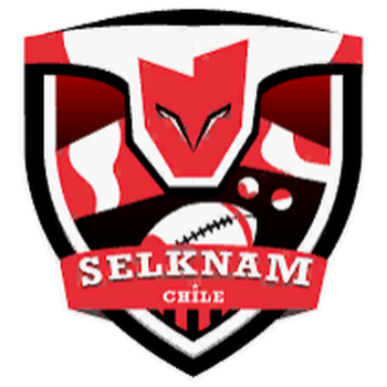 Team Badge