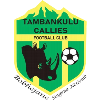 Team Badge