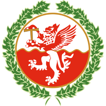 home team badge