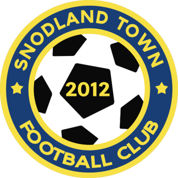 Team Badge