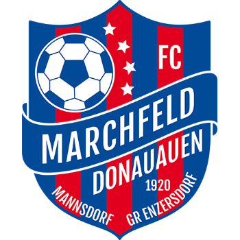 home team badge