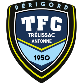 Team Badge