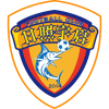 home team badge