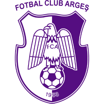 Team Badge