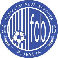 Team Badge