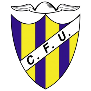 home team badge