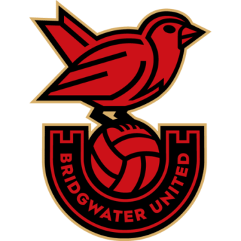 Team Badge