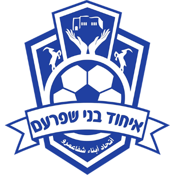 home team badge