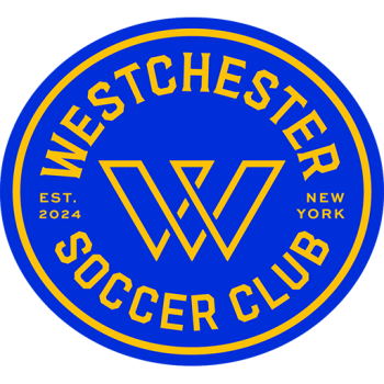 Team Badge