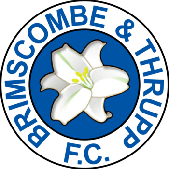 Team Badge