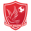 home team badge