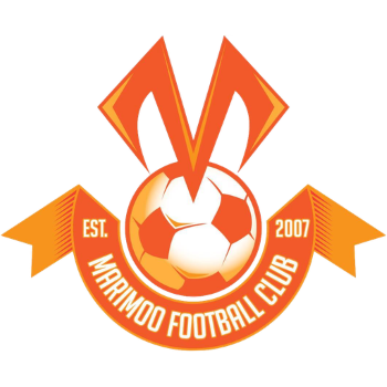 home team badge