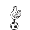 Away Team Badge