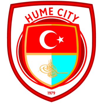 Team Badge