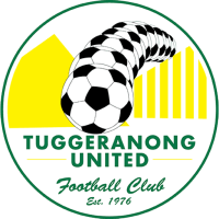 Team Badge