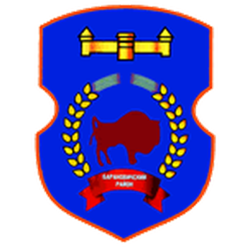 Team Badge