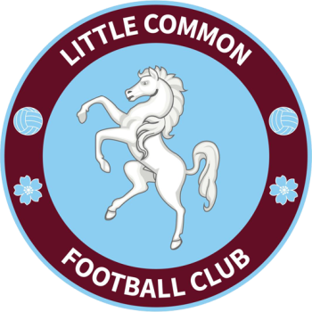 Team Badge