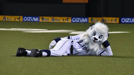  Saitama Seibu Lions Official Sibu Lions 70th