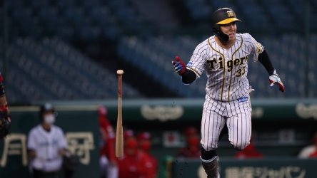 Hanshin Tigers Baseball — Andrew & Kelsi