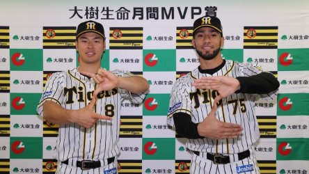 Hanshin Tigers - TheSportsDB.com