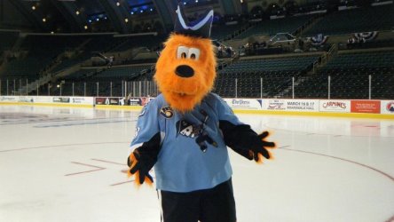 milwaukee admirals mascot｜TikTok Search